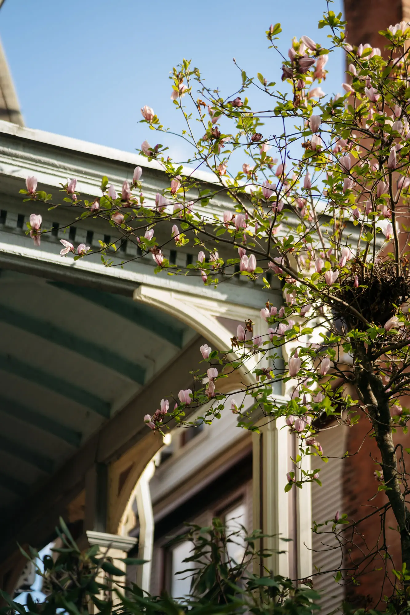Spring at The Hillard